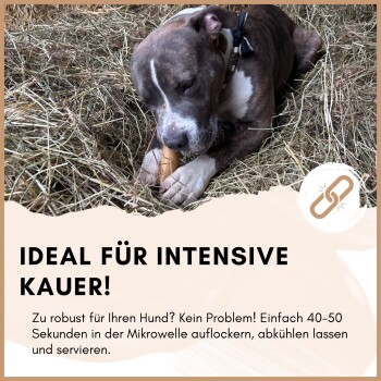Ein braun-weißer Hund kaut auf einem Spielzeug auf Heu. Text: 'IDEAL FÜR INTENSIVE KAUER! Mikrowelle für 40-50 Sekunden, abkühlen, servieren.'