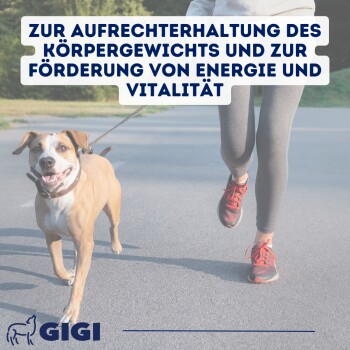 Bild zur Bewerbung eines Haustier-Nahrungsergänzungsmittels mit "L-Carnitin" und "Taigawurzel-Extrakt", mit dem Titel "Spezielle Zusammensetzung."