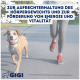 Bild zur Bewerbung eines Haustier-Nahrungsergänzungsmittels mit "L-Carnitin" und "Taigawurzel-Extrakt", mit dem Titel "Spezielle Zusammensetzung."