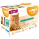 Die Verpackung des IAMS Delights Katzenfutters zeigt eine orange Katze, beschriftet mit "Senior 7+" und 12 Beuteln mit Huhn, Thunfisch und Hering.