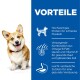 Corgi neben einem blauen Panel, das Vorteile auflistet: hochwertiges Protein, Omega-6, Vitamin E und leicht verdauliche Zutaten für die Gesundheit.