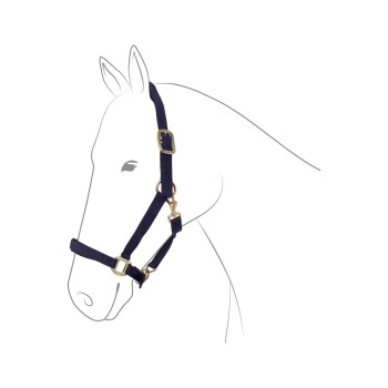 Halfter Dual Plus navy Pony