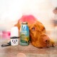 Klassik + Doggyroller Blau Gr. M