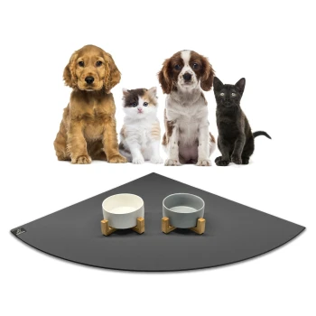 Eine Gruppe von vier Haustieren, darunter zwei Hunde, eine Katze und ein schwarzes Kätzchen, sitzt vor zwei stilvollen Haustierschalen auf einer grauen Matte.