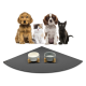 Eine Gruppe von vier Haustieren, darunter zwei Hunde, eine Katze und ein schwarzes Kätzchen, sitzt vor zwei stilvollen Haustierschalen auf einer grauen Matte.