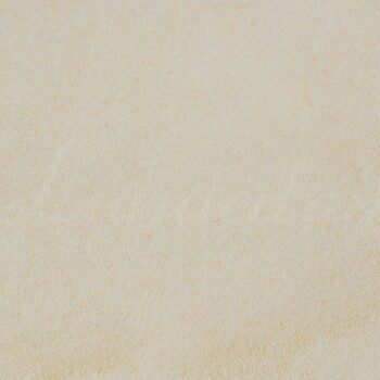 Feines, hellfarbiges Pulver auf einer glatten Oberfläche, das wie Haustierfutter oder Nahrungsergänzungsmittel-Pulver aussieht.