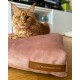 Eine flauschige orange Katze, die auf einem rosa Haustierbett mit einem braunen Etikett mit der Aufschrift "RexProduct.com" in einem gemütlichen Wohnzimmer sitzt.