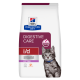 Hill's Prescription Diet Digestive Care i/d Kitten Futterbeutel mit grauem getigertem Kätzchen und Text "Vom Tierarzt empfohlen".
