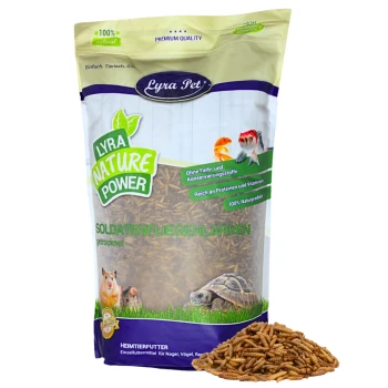 Tüte von Lyra Pet ('Lyra Nature Power') mit getrockneten Soldatenfliegenlarven und einem Haufen Larven davor.
