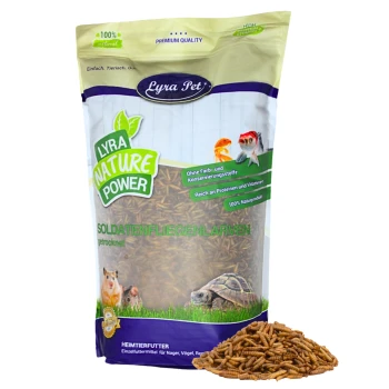 Tüte von Lyra Pet ('Lyra Nature Power') mit getrockneten Soldatenfliegenlarven und einem Haufen Larven davor.