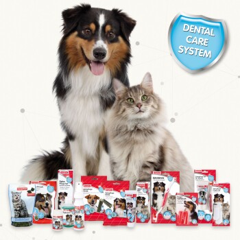 Beaphar Gel dentaire 100 ml MAXI ZOO