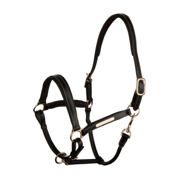 Schwarzes Leder-Haustiergeschirr mit goldenen Metallakzenten und verstellbaren Riemen, entworfen für Komfort und Kontrolle.