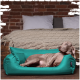 Ein entspannter grauer Weimaraner-Hund, der in einem hellen türkisfarbenen Hundebett liegt, mit einer gemütlichen gestrickten Decke und Kissen im Hintergrund.