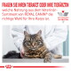 Getigerte Katze auf dem Untersuchungstisch beim Tierarzt; deutsche Überschrift 'FRAGEN SIE IHREN TIERARZT ODER IHRE TIERÄRZTIN' und Royal Canin-Logo.