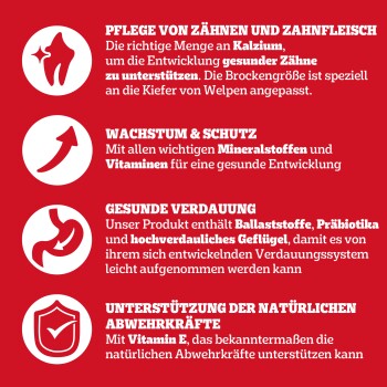 Infografik über die Vorteile von Tiernahrung: Zahnpflege, Wachstumsunterstützung, Verdauungsgesundheit und Immunität, mit Kalzium, Vitaminen und Präbiotika.
