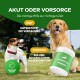 Zwei Hunde auf einem grasbewachsenen Feld neben einem grünen Behälter mit der Aufschrift "HUNDPUR", mit "AKUT" für die Verdauung und "VORSORGE" für das Magen-Gleichgewicht.