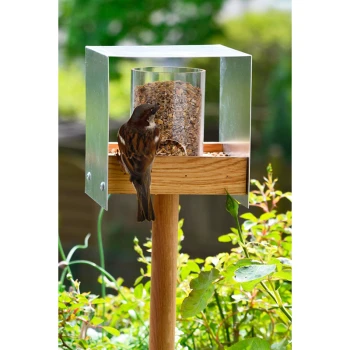 Vogelhaus kaufen Große Auswahl FRESSNAPF