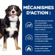 Un chien de montagne bernois souriant pose sur un fond bleu avec un texte sur la perte de poids, les bienfaits des oméga-3, et la combustion des graisses.