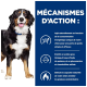 Un chien de montagne bernois souriant pose sur un fond bleu avec un texte sur la perte de poids, les bienfaits des oméga-3, et la combustion des graisses.