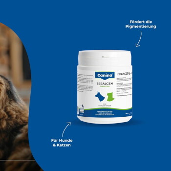 Canina Seealgen-Tabletten-Glas für Hunde & Katzen vor blauem Hintergrund; sichtbares Etikett 'Inhalt 225 g' und 'Fördert die Pigmentierung'.