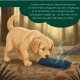 Drei rechteckige, strapazierfähige Stoff-Hundespielzeuge in Orange, Grün und Marineblau mit kleinen „Gomer’s“ Etiketten.