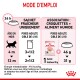 Guide d'instructions pour nourrir les chatons, détaillant les portions pour un poids cible de 4 kg, avec des images de produits Royal Canin et des informations nutritionnelles.