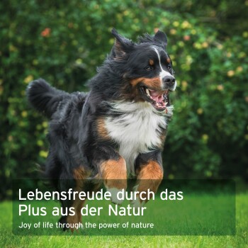 Berner Sennenhund läuft auf Gras, eingeblendeter Text 'Lebensfreude durch das Plus aus der Natur' / 'Joy of life through nature'.