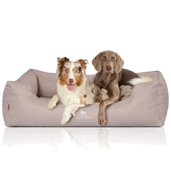 Zwei Hunde liegen zusammen auf einem weichen, beigen Haustierbett, auf dem das Logo "KNUFFELWUFF" sichtbar ist.