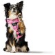 Geschirr Divo Camouflage rosa L