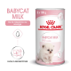 Canister de lait Royal Canin Babycat, 3 x 100g, pour chatons de 0 à 2 mois, avec un graphique de chaton mignon et du texte en français.
