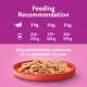 Feeding recommendation chart for cats showing wet food portions for 3 kg, 4 kg, and 5 kg cats, with a bowl of WHISKAS® dry food.