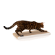 Eine Bengal-Katze mit geflecktem Fell kratzt an einem rechteckigen Pappkratzbrett vor einem weißen Hintergrund.