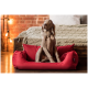 Ein grauer Weimaraner-Hund sitzt in einem gemütlichen roten Hundebett und schaut neugierig zur Seite, mit einer gestrickten Decke und einem Holzrahmen im Hintergrund.