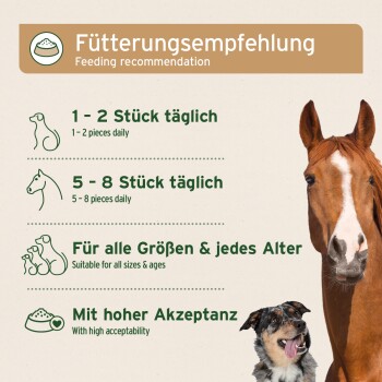 Kokosnuss-Sticks für Hunde und Pferde in einer 500g Tüte, mit Fütterungsempfehlungen und Nährwertinformationen auf der Rückseite.