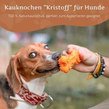 Kauknochen mit Quietscher