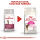 Comparaison de l'emballage de nourriture pour animaux Royal Canin montrant "Exigent" à gauche et "Aroma Exigent" à droite, avec le texte "NOUVEAU LOOK, NOUVELLE FORMULE."