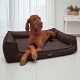 Brauner Hund mit rotem Halsband liegt auf einem dunkelbraunen Tierlando Haustierbett in einem hellen Raum mit weißen Vorhängen.