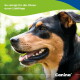 Schwarz-brauner Hund hechelt im Freien; Text 'So reinigt ihr die Ohren eurer Lieblinge' und 'Canina'-Logo.