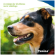 Schwarz-brauner Hund hechelt im Freien; Text 'So reinigt ihr die Ohren eurer Lieblinge' und 'Canina'-Logo.