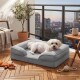 Weißer Hund schläft auf grauem Bett mit Rand auf einem Balkon mit Stadtkulisse, Topfpflanze, Holztisch und Spielzeug