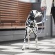 Ein Dalmatiner-Hund steht auf einem karierten Gehweg und schaut zu einer Person auf, die eine hellblaue Leine hält, mit einem Holz-Hintergrund.