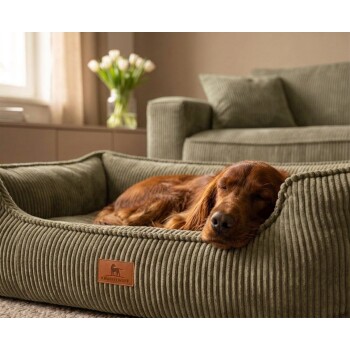 Brauner Hund schläft in grünem Cord-Hundebett mit Lederanhänger mit der Aufschrift 'Knuffelwuff' in einem gemütlichen Wohnzimmer.