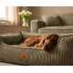 Brauner Hund schläft in grünem Cord-Hundebett mit Lederanhänger mit der Aufschrift 'Knuffelwuff' in einem gemütlichen Wohnzimmer.