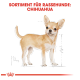 Illustration eines Chihuahuas mit Maßangaben, beschriftet "SORTIMENT FÜR RASSEHUNDE: CHIHUAHUA" oben.