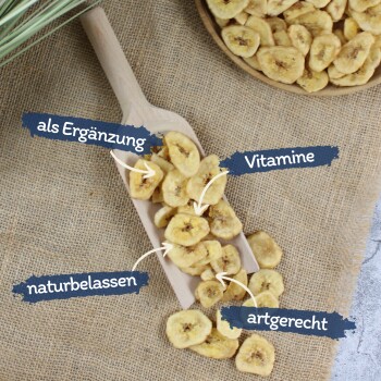 Getrocknete Bananenchips auf einem Holzlöffel und Teller mit deutschem Text, der natürliche, vitaminreiche, artgerechte Ergänzung hervorhebt.
