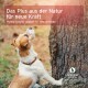 Braun-weißer Hund mit Halsband kratzt an einem Baum; Überlagerungstext: 'Das Plus aus der Natur für neue Kraft'