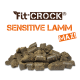 Fit-Crock Sensitive Lamm Maxi Hundefutter, mit einem Haufen dunkler, strukturierter Kroketten, mit dem Markenlogo deutlich sichtbar.