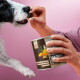 Schwarz-weißer Hund schnüffelt runde braune Leckerlis mit Süßkartoffel, Babykarotten und Rosmarin vor rosa Hintergrund.
