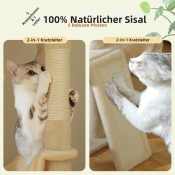 Katzenbaum mit mehreren großen Hängematten, 30 cm Durchmesser, zeigt zwei Katzen, die auf beigen Hängematten ruhen.
