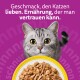 Graue getigerte Katze mit gelben Augen über einer Schale Nassfutter auf lila Hintergrund; Text: 'Geschmack, den Katzen lieben...'